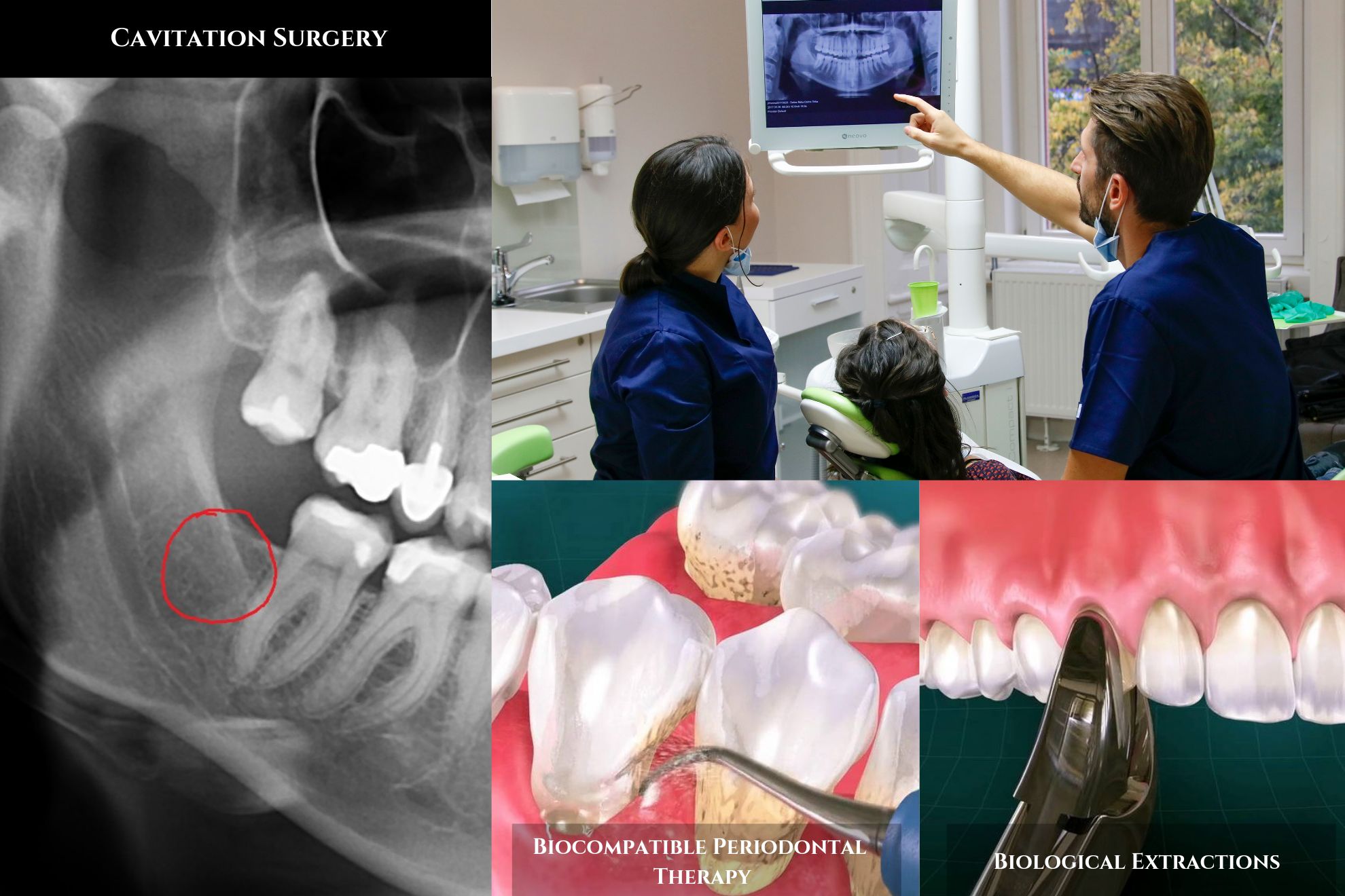 biological extractions Budapest.jpg